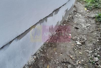 Casă cu 2 camere în Roșu - 4
