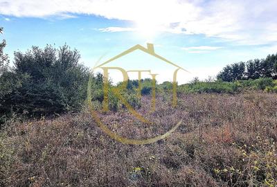 Teren agricol extravilan de 11273 mp, în Plopi - 4