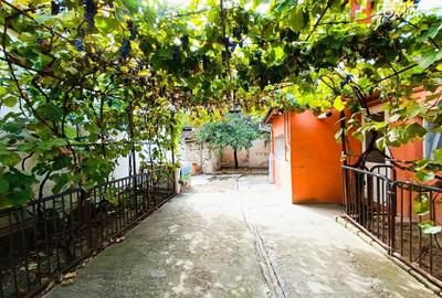 Casa individuala Freidorf pozitie excelenta + garaj - 1