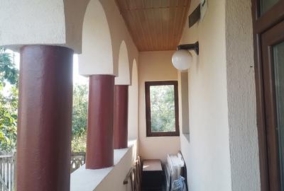 Giurgiu, Comana, Vlad Tepes - 10