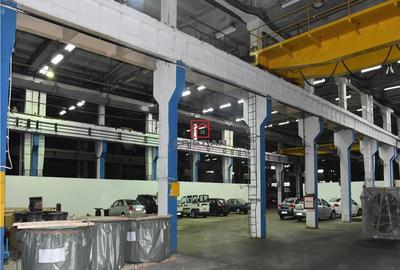 Spațiu comercial, de 5,000 mp, în Basarabia - 9