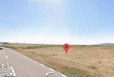 Teren de 10693 mp, în Pianu - 1
