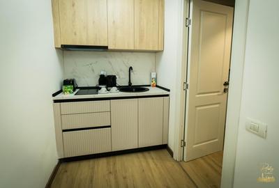 Apartament cu o camera de inchiriat in zona Ultracentrala- Oradea - 6