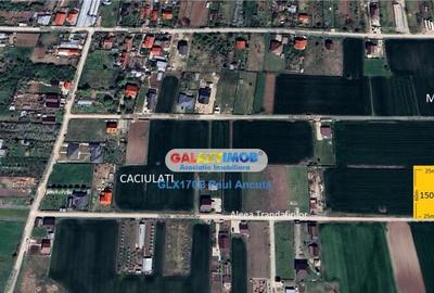 Teren Caciulati Moara Vlasiei 1500 mp lot casa acces rapid l - 3