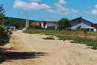 Teren 500 mp intravilan Smeura Stoenari - 4 loturi - 3