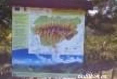 Casă cu 6 camere cu Teren 2700 Mp în Bradu - 4