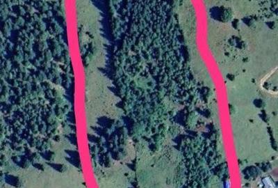 Teren de 6000 mp, în Ortoaia - 1