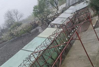 Casă cu 4 camere cu Teren 4300 Mp în Chirnogi - 10