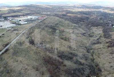 Teren de 11931 mp, în Vălenii de Munte - 3