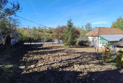 Casă cu 2 camere în Luptători - 3