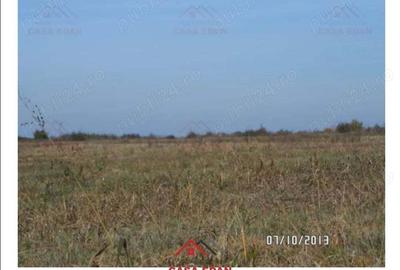 Teren intravilan industrial in Titu Dambovita 10 Ha 6e - 6