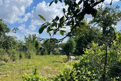 Teren cu casa in comuna Iepuresti, judetul Giurgiu - 3