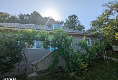 Casă cu 6 camere cu Teren 12900 Mp în Cotnari - 8