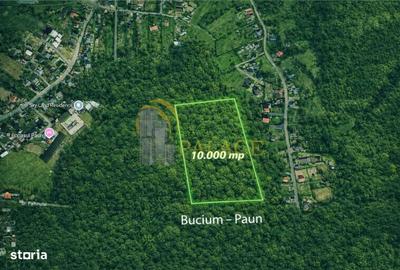 Teren de 10000 mp, în Bârnova - 3