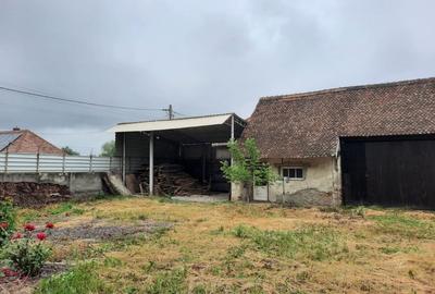 Comuna Augustin, casa deosebita, renovata integral, mobilata si utilata full!!! - 15