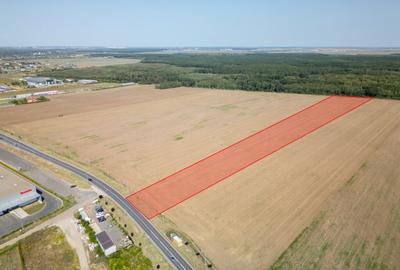 Teren Vanzare Intravilan Branesti investitie Zona Industrial - 34