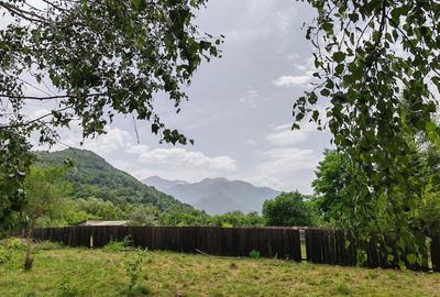 Teren intravilan în Glăjărie - 3