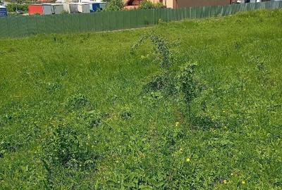 Teren de 2926 mp, în Ciritei - 4
