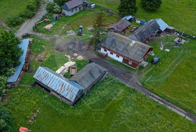 Ferma de vanzare, teren 21436 mp intravilan, Cosnea, Agas - 3