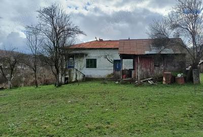 Casă cu 4 camere cu Teren 9000 Mp în Cotmeana - 6