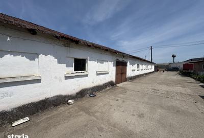 Spațiu comercial, de 800 mp, în Aurel Vlaicu - 7
