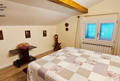 Proprietate deosebita com.D-va Rosie, Casa P+M si 1683 mp teren - 13