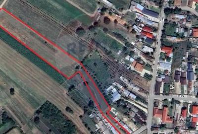 Teren de 4318 mp, în Gologanu - 1