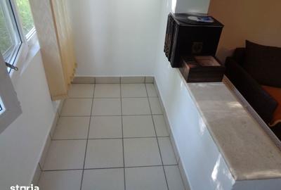 Apartament cu 2 camere în Șega - 14