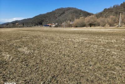 Spațiu comercial, în Turnu Roșu - 11