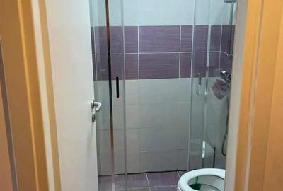 Propietar vand gansonieta zona Brancoveanu - 5
