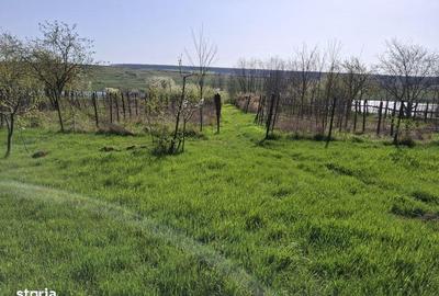 Casă cu 3 camere cu Teren 100 Mp în Sulița - 3