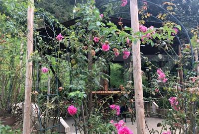 De vanzare teren intravilan in zona Schei (+cabana) - 6