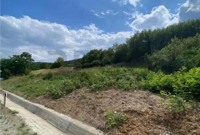 Teren de 1617 mp, în Brătești - 2