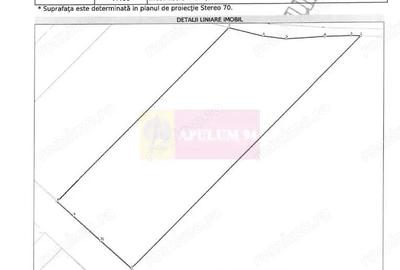 Teren de 131935 mp, în Est - 3