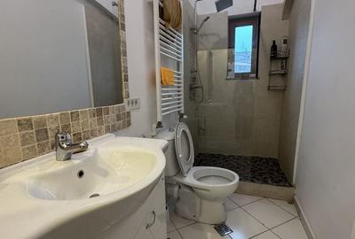 Apartament doua camere cu terasa -Unirii - 5