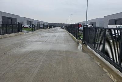 Hala noua 595 mp Pantelimon ( B-dul Biruintei ) - 7