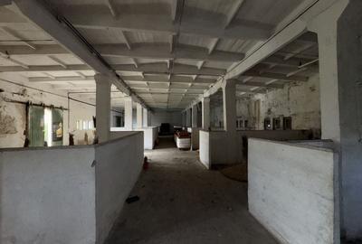 Eforie Sud Depozit Parter + Mezanin cu rampă Auto și CF - 2