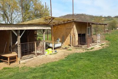 Vand casa Lozna jud Salaj - 7