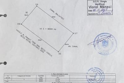 Teren extravilan 16,3 ha | Cosoba, Giurgiu | fotovoltaice - 5
