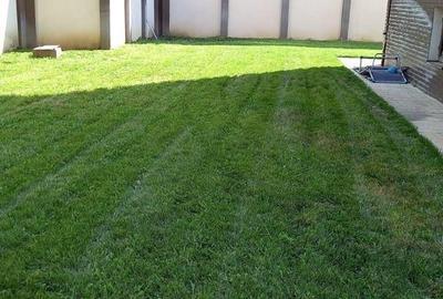 INCHIRIERE CASA-VILA BRAGADIRU - 17