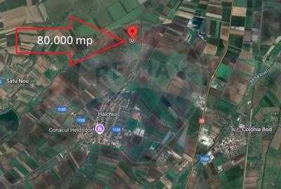 Teren de 80000 mp, în Hălchiu - 2