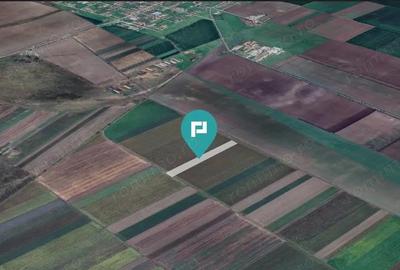 Teren extravilan de 14.500 mp in Caporal Alexa - 2