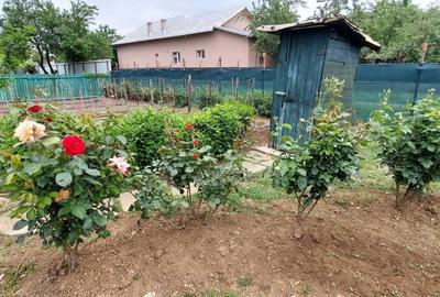 Casă cu 3 camere în Tărtășești - 8