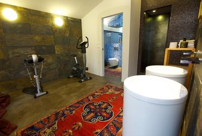 Penthouse lux,su330mp locatie ultracentrala,vedere superba,acces direct din lift - 9