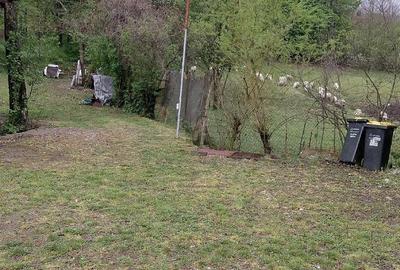 Teren de 1000 mp, în Tăuții-Măgherăuș