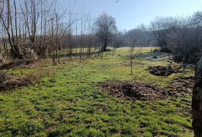 Casă cu 2 camere în Central