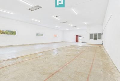 Spațiu industrial de 245 mp - 3