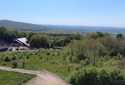 Teren de Vanzare 850 mp | Petrarie Burnova | Zona Ve - 5