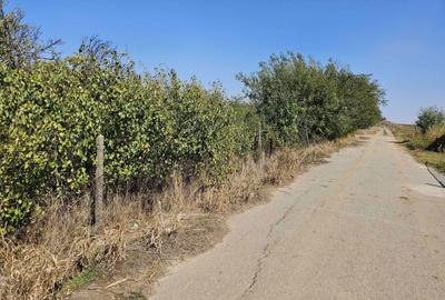 Teren de 2070 mp, în Stejaru - 5