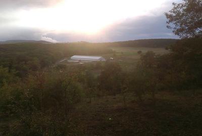 Spațiu comercial, de 11,600 mp, în Central - 1